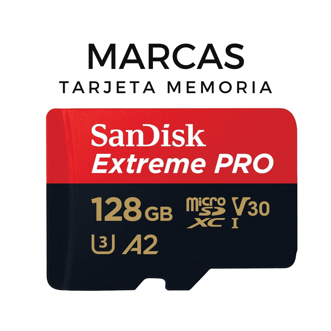 Todos los Tipos y Marcas de Tarjetas de Memoria | Catálogo Completo 4 Mejores marcas de Tarjetas de Memoria